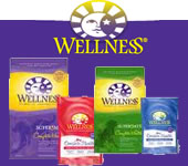 wellness cat food