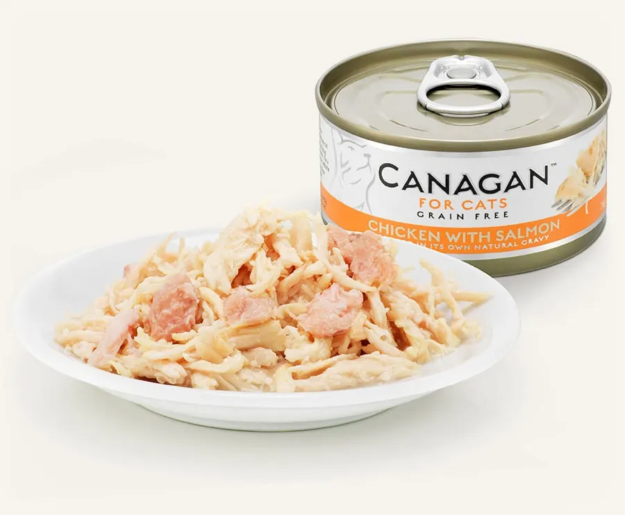 Canagan 無穀物主食貓罐頭 Chicken with Salmon 雞肉伴三文魚 75g