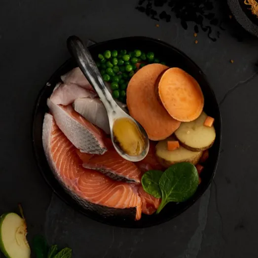 Canagan 原之選 Scottish Salmon 蘇格蘭三文魚 無穀物狗糧(幼犬/成犬)