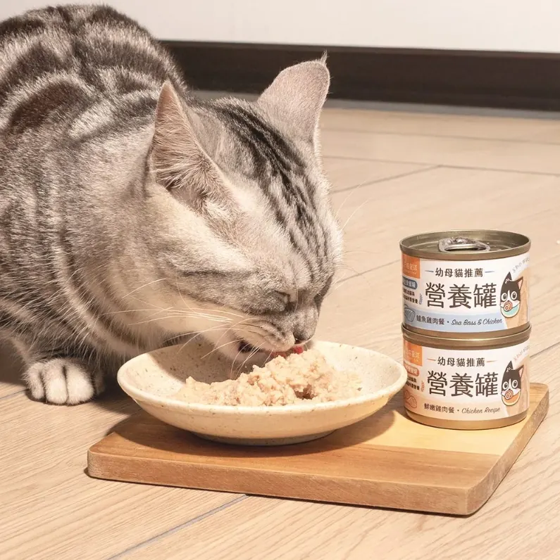 DogCatStar 汪喵星球 迷你無膠早餐主食罐 幼母貓營養罐