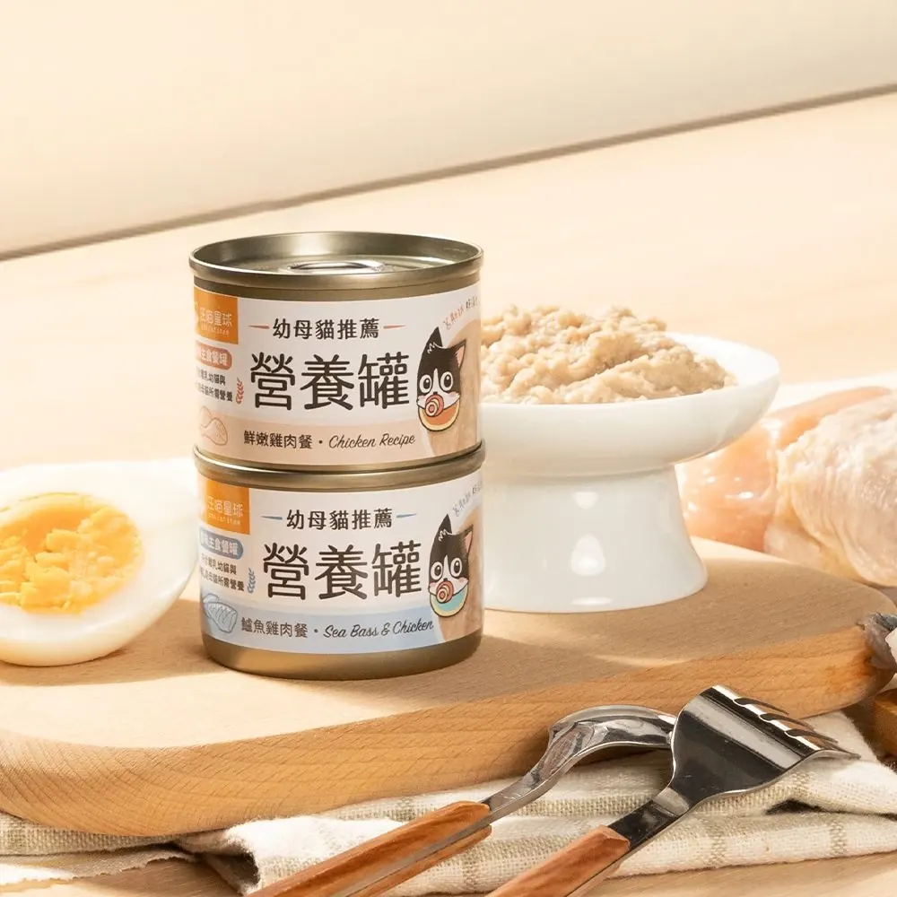DogCatStar 汪喵星球 迷你無膠早餐主食罐 幼母貓營養罐