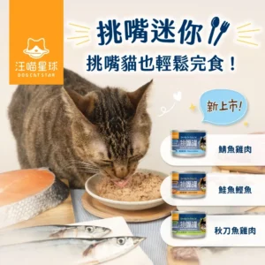 DogCatStar 汪喵星球 迷你無膠早餐主食罐 挑嘴罐 貓罐頭